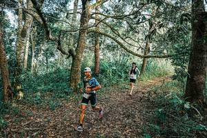 BIB: 
                            <button type="button" onclick="openModal(25660931)" class="btn btn-primary btn-sm float-right btn-popup" data-toggle="modal" data-target=".modal-high-quality">
                        <i class="fas fa-shopping-cart"></i> Add to Cart
                    </button>
                                            <button type="button" onclick="isThisMe(25660931, true)" class="btn btn-success btn-sm float-right btn-popup btn-isme hidden" data-toggle="tooltip" data-placement="bottom" title="นี่คือรูปของคุณใช่ไหม คลิกที่นี่เพื่อเอาเข้าอัลบั้ม">
                        <i class="fas fa-plus"></i> Add to album
                    </button>
                    <button type="button" onclick="isThisMe(25660931, false)" class="btn btn-warning btn-sm float-right btn-popup btn-isnotme hidden">
                        <i class="fas fa-ban"></i> Remove from album
                    </button>